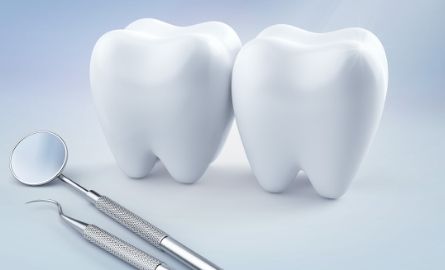 two model teeth & dental tools