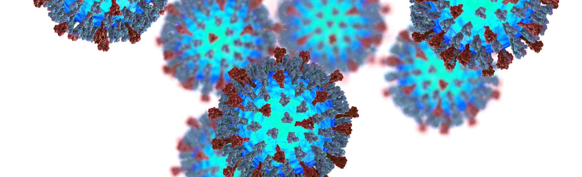 COVID virus particle